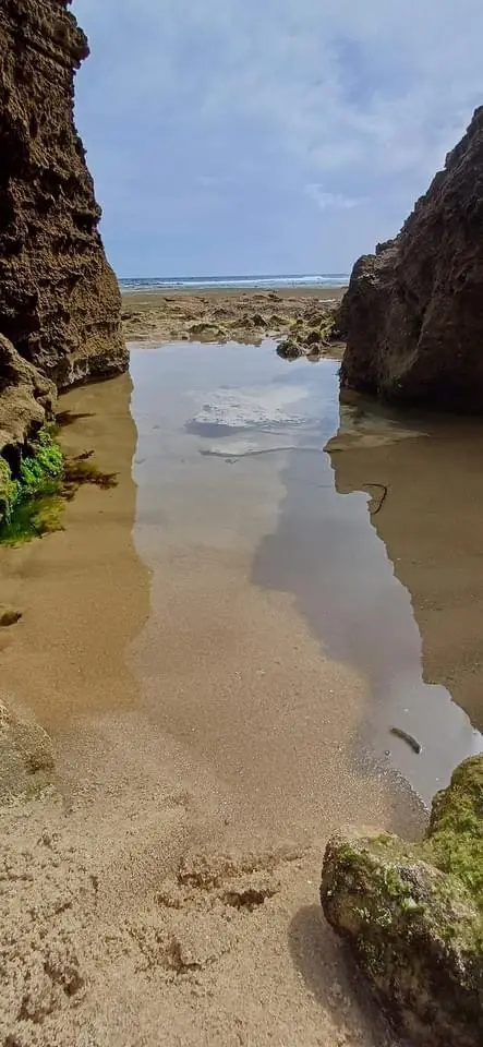 Sun, Sand, and Sea: The Beach Vibes