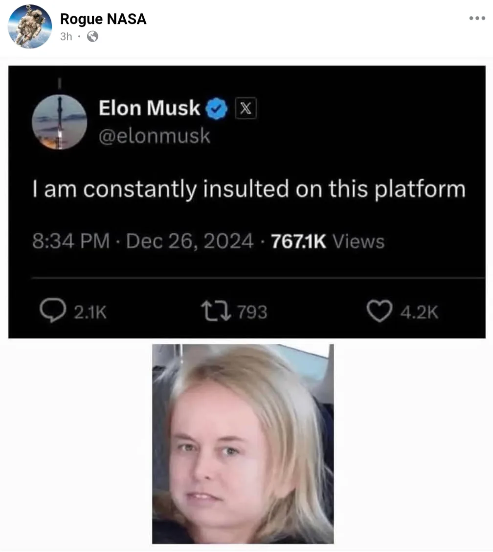 The image displays a screenshot of a tweet from Elon Musk's verified X account, which reads 'I am constantly insulted on…