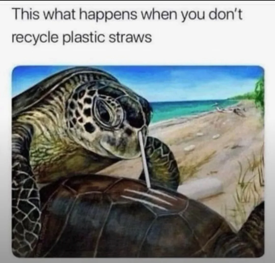 A Delightfully Cheeky Collection of Memes and More #73