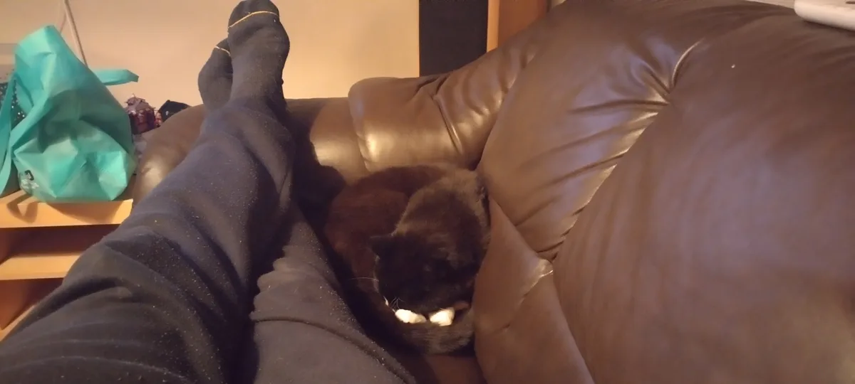 A person wearing black socks and dark pants is lounging on a brown leather couch with their feet up. A black cat with white…