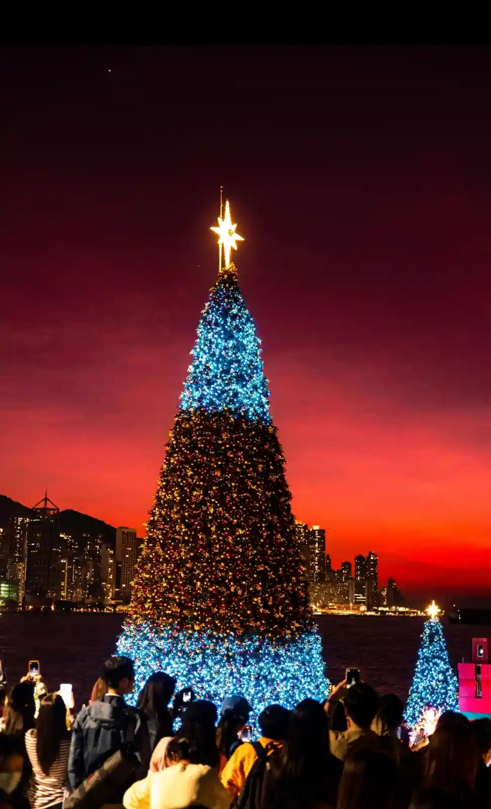 A large, brightly lit Christmas tree with blue and gold lights and a star on top stands against a vibrant red-orange sunset…