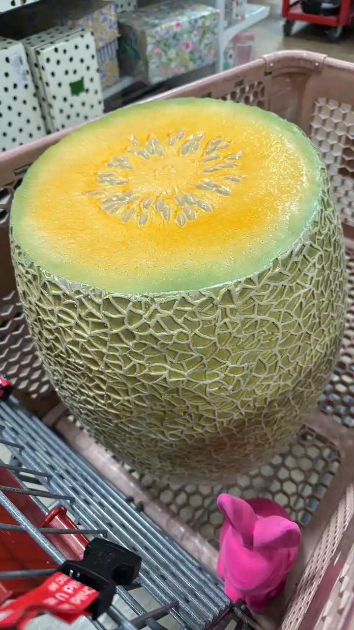 A large, round cantaloupe melon with a green netted rind and yellow-orange flesh, sliced open to reveal its seeds, sits…