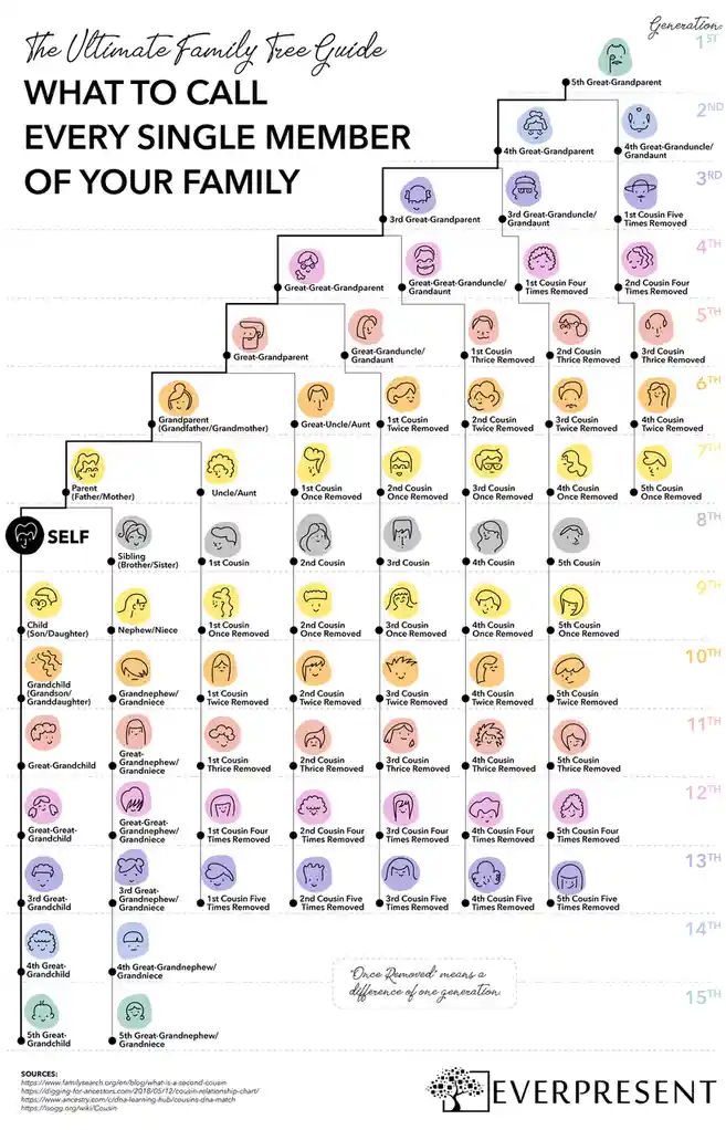 A detailed family tree chart titled 'The Ultimate Family Tree Guide: WHAT TO CALL EVERY SINGLE MEMBER OF YOUR FAMILY'…