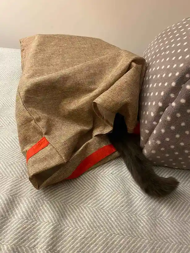 A dark-furred cat's tail peeks out from under a beige fabric sack with red trim, resting on a patterned bedspread next to a…