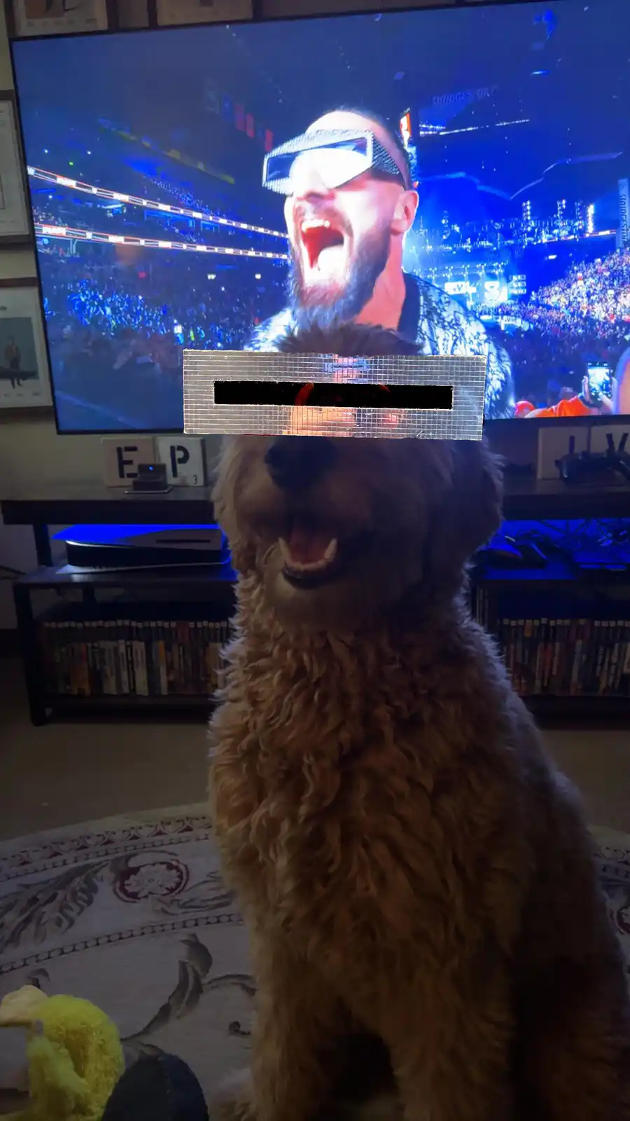 A fluffy, light-brown dog sits in front of a TV, its mouth open in an excited or scared expression. The TV screen shows a…