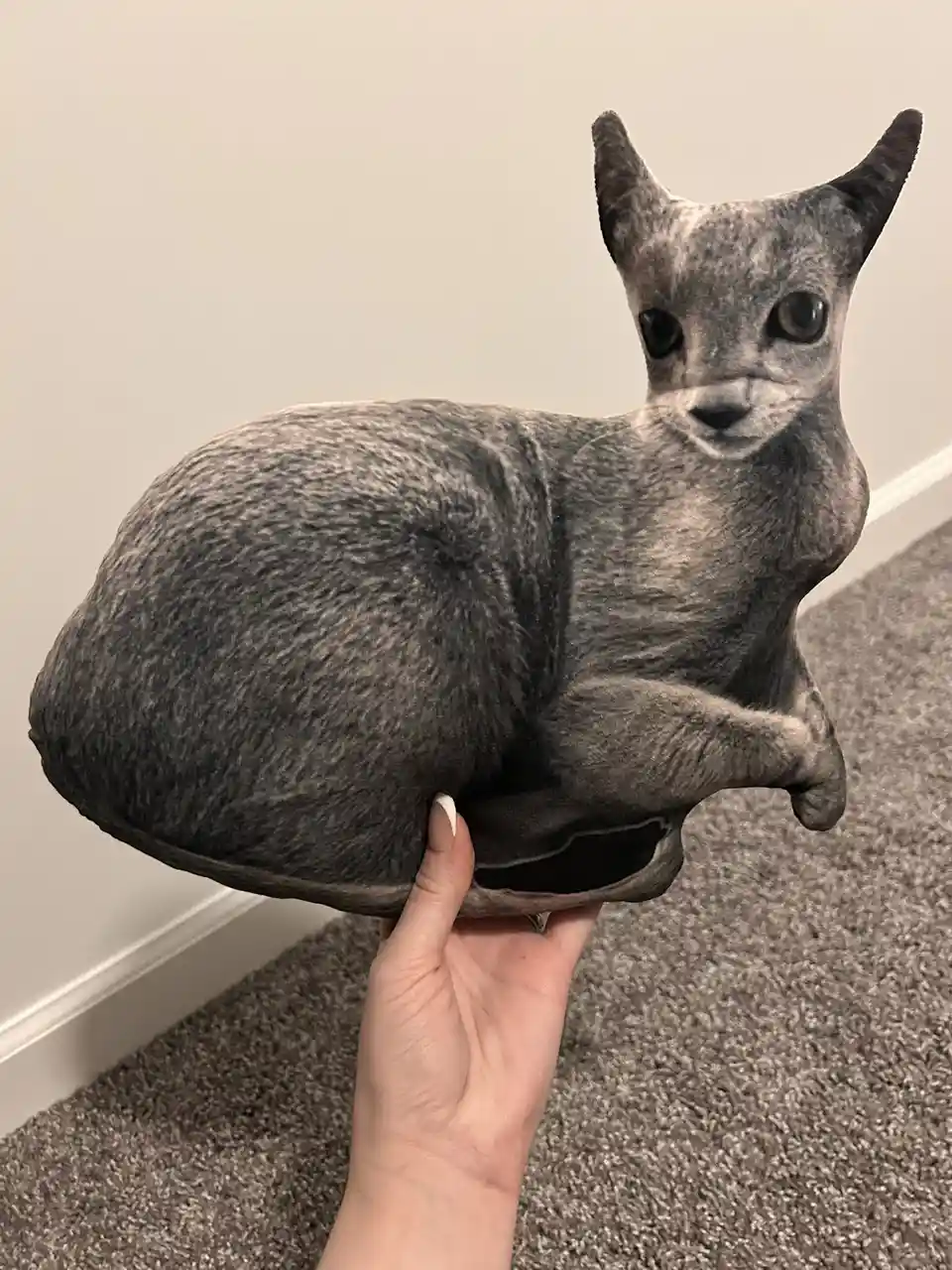 A person holds up a large, gray, plush pillow shaped and printed to look like a cat, with realistic fur texture and facial…