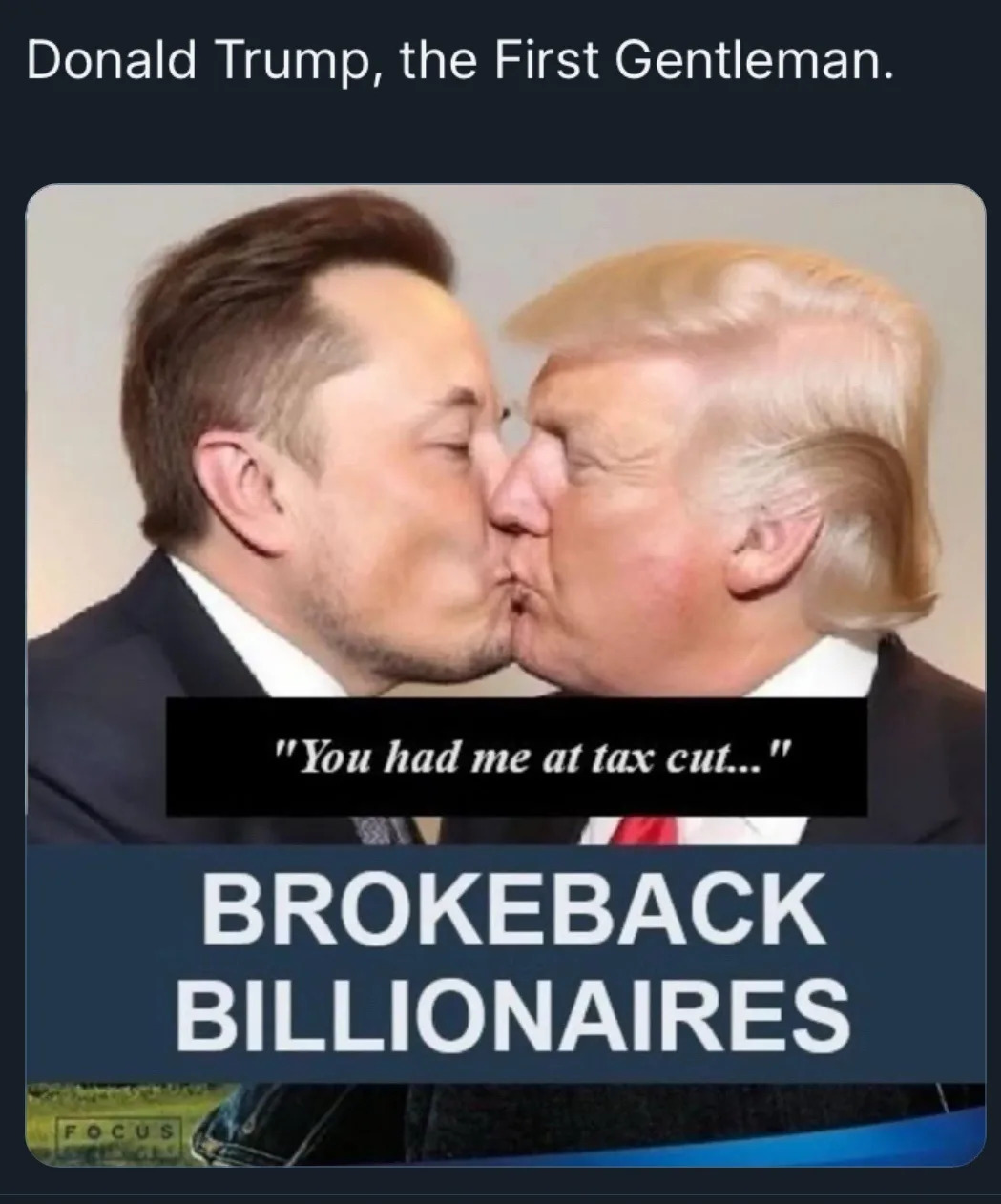 The image shows two men, Elon Musk and Donald Trump, kissing each other on the lips. The text at the top reads 'Donald…