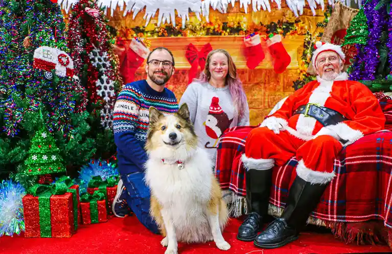 A man and woman pose with a fluffy dog in front of a festive Christmas backdrop featuring a fireplace, stockings, and…