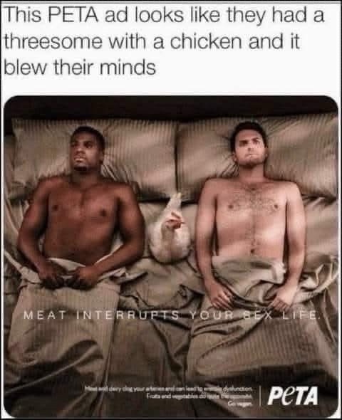 Two shirtless men lie in bed under blankets, with a chicken sitting between them holding a small object. The original PETA…