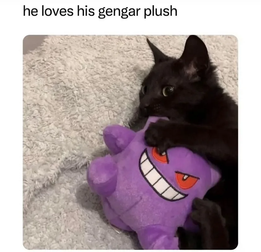 A Cat's Affection for Gengar: A Furry Friendship
