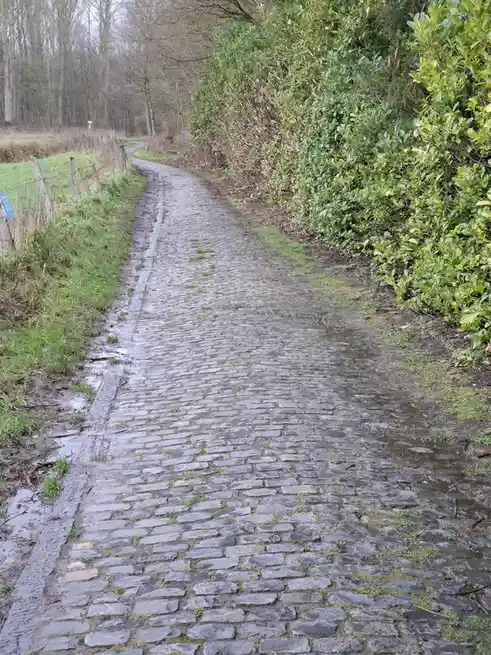 A wet, cobblestone path winds through a grassy area bordered by a dense green hedge on the right and a wooden fence on the…