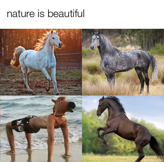 The image is a four-panel meme. Top left shows a white horse running in a field at sunset. Top right shows a dappled gray…