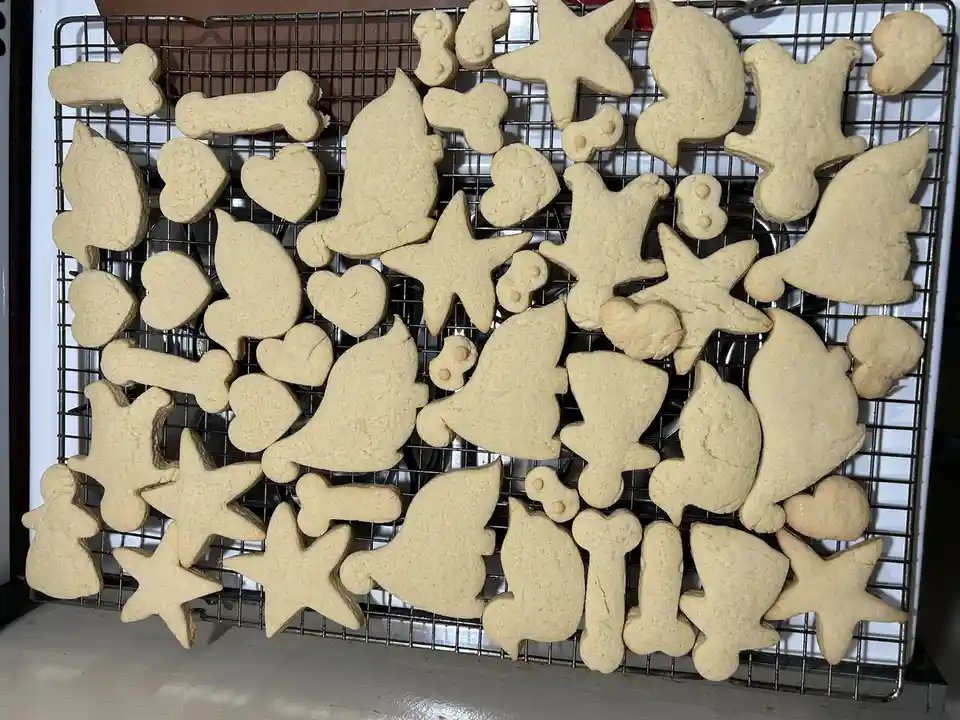 A cooling rack is filled with plain, un-decorated sugar cookies in various shapes including bones, stars, hearts, ghosts…