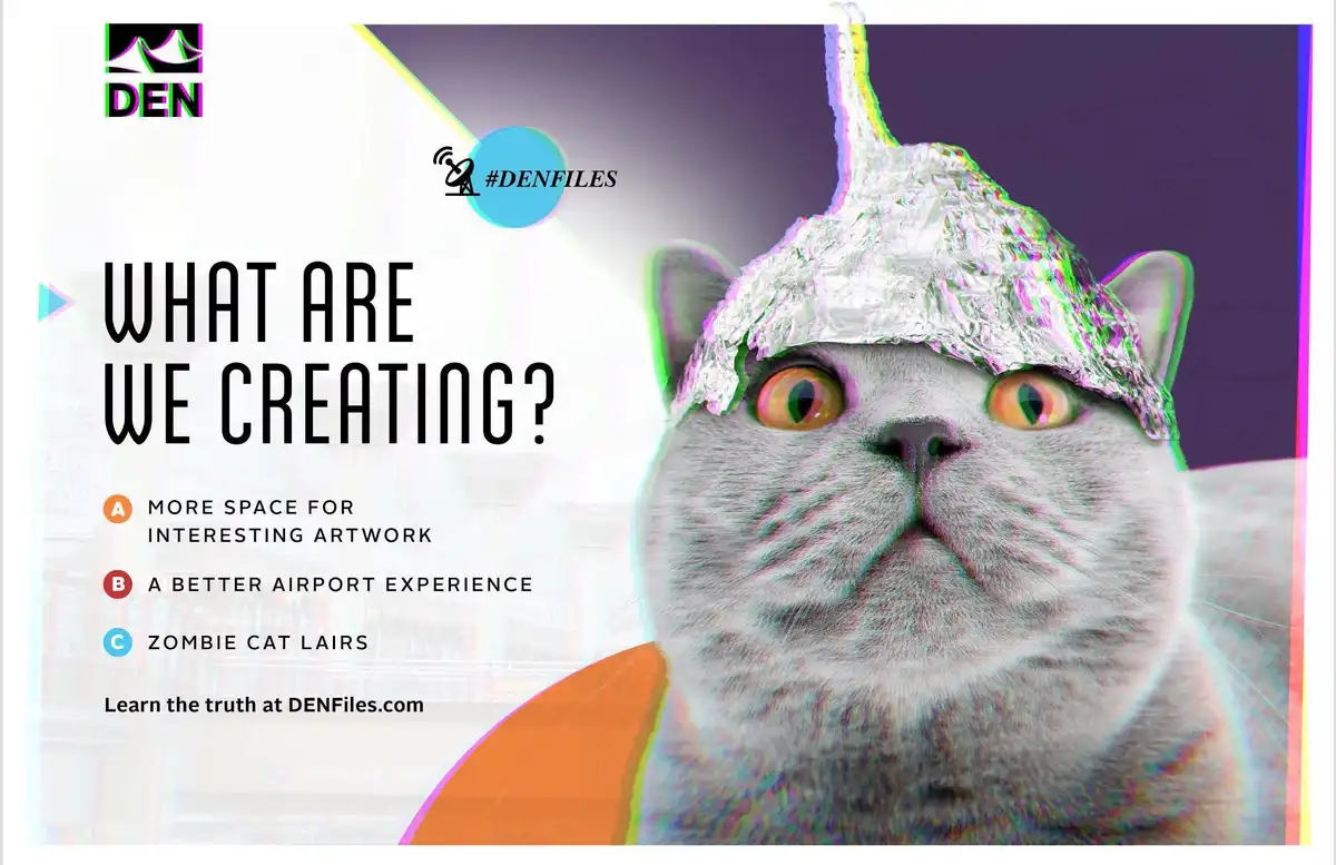 A gray cat with wide, startled eyes wears a foil hat shaped like a pointed cone, resembling a UFO or alien headgear. The…