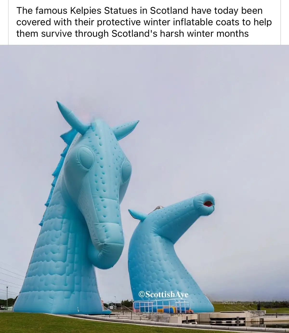 Two giant blue inflatable horse head sculptures, the Kelpies in Scotland, are shown covered in protective winter coats. The…