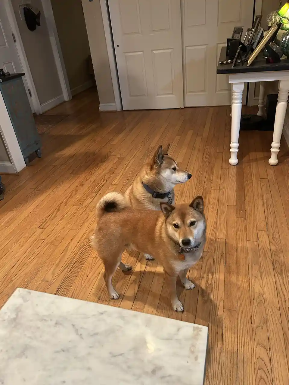 A heartwarming moment between father and daughter.