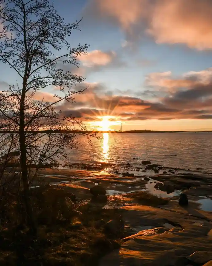 A serene sunset over a rocky shoreline with a bare tree in the foreground, its branches silhouetted against the orange and…