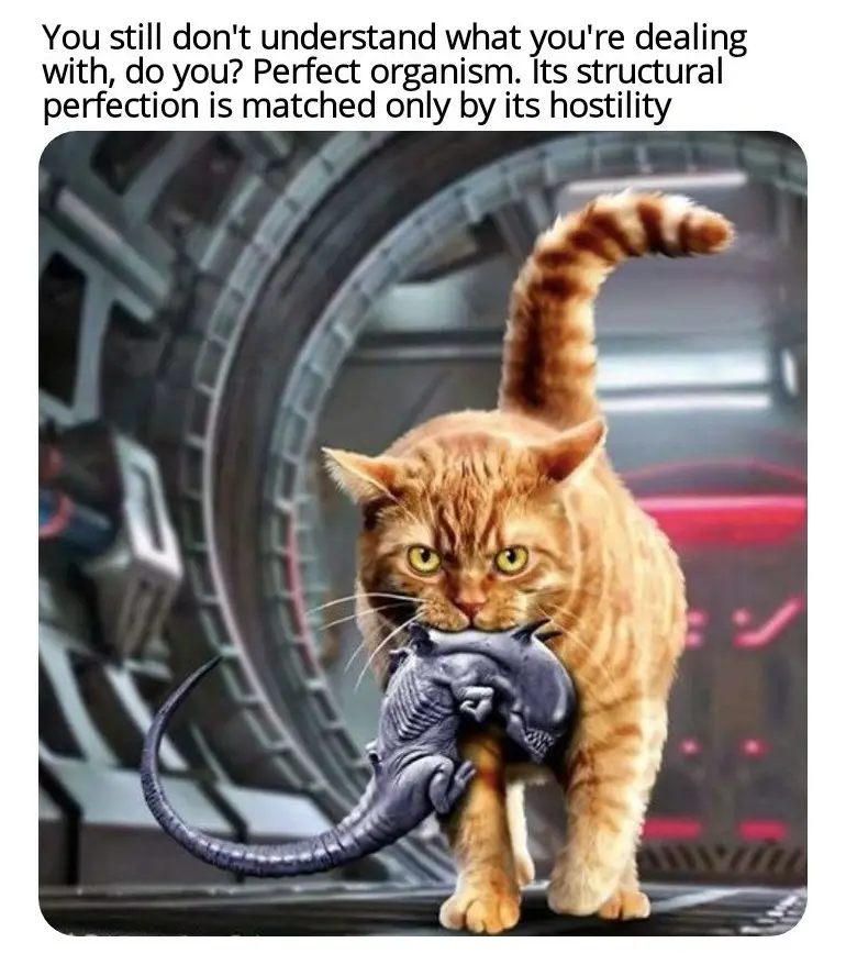 The Ultimate Deadly Assassin