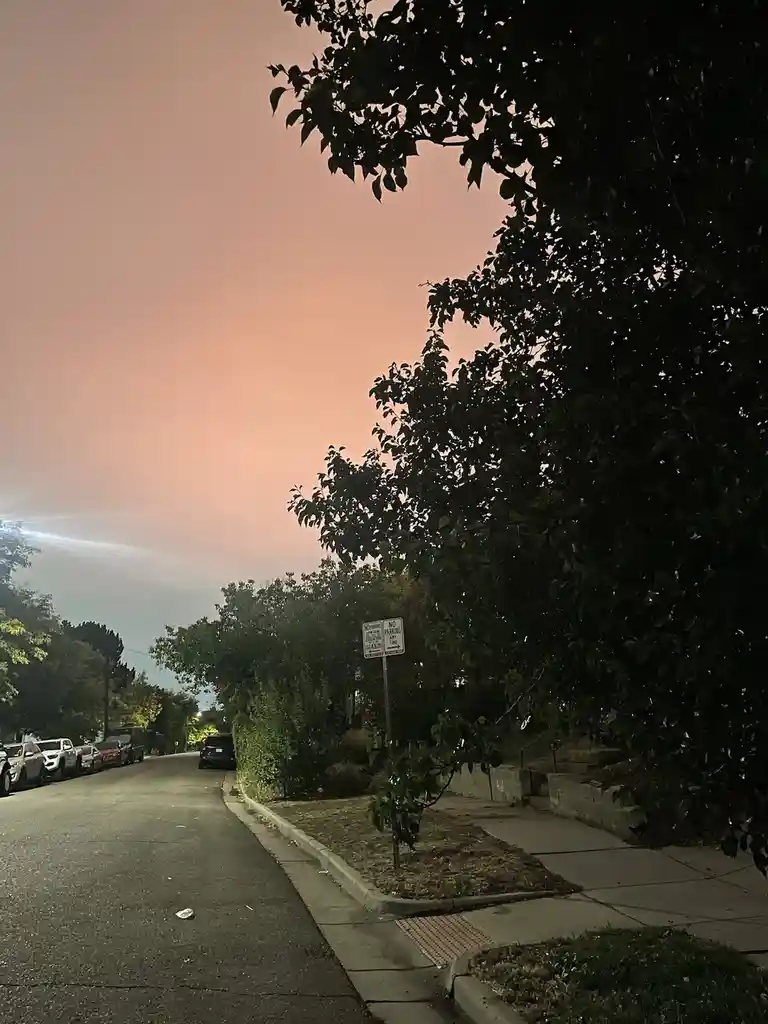 A nighttime street scene with a pinkish-orange sky, trees lining the sidewalk, parked cars, and a visible 'NO PARKING ANY…
