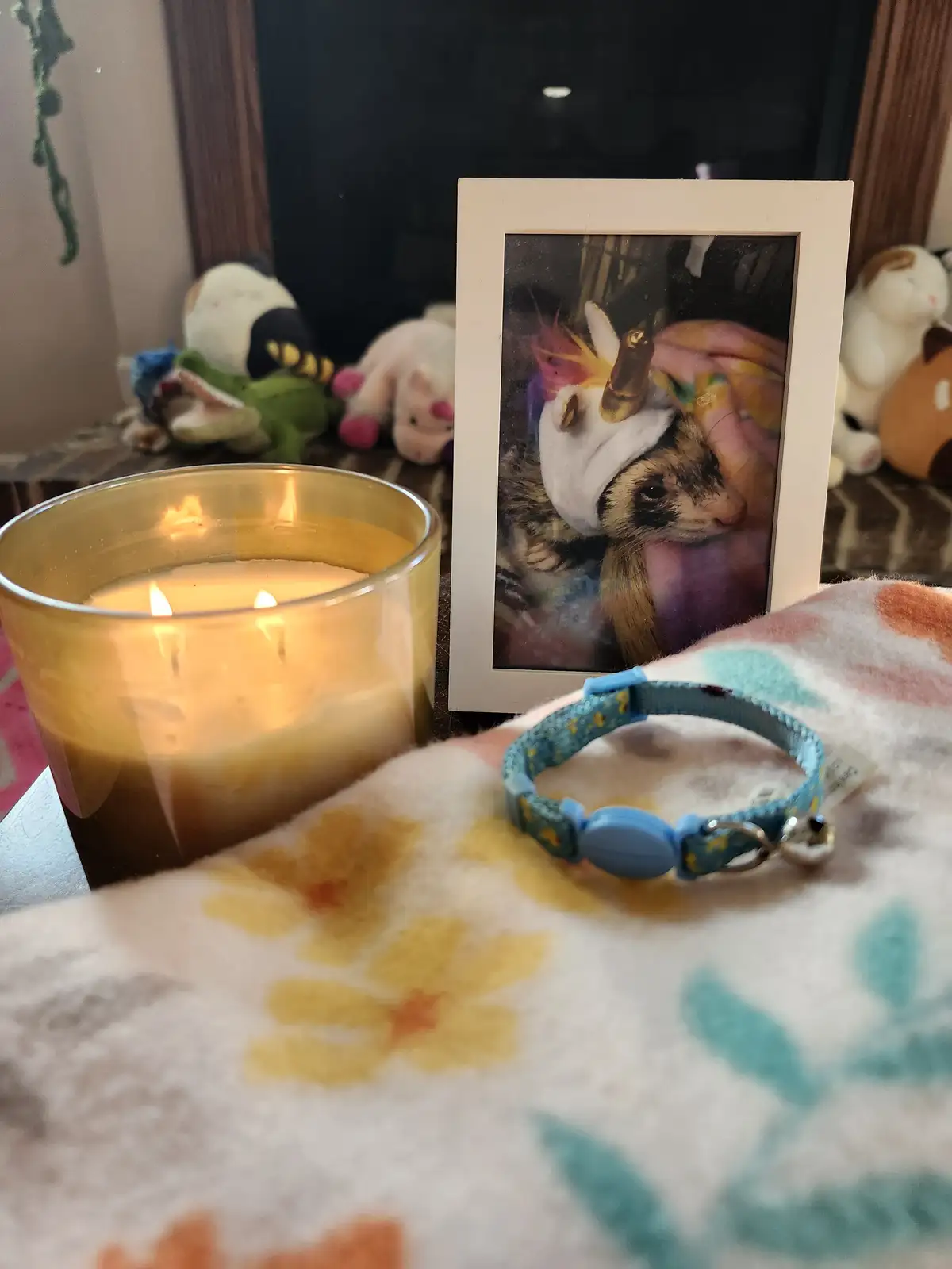 A lit candle sits beside a framed photo of a ferret wearing a unicorn hat, with a blue pet collar and a floral blanket…