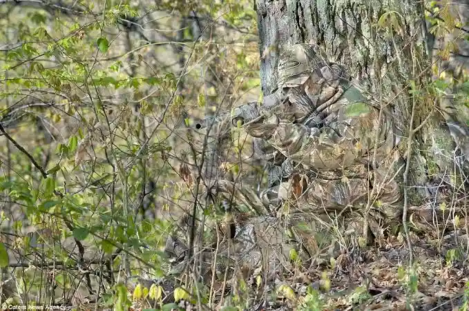 A person in full camouflage gear is crouched behind a tree in a wooded area, holding a rifle aimed forward. The person's…