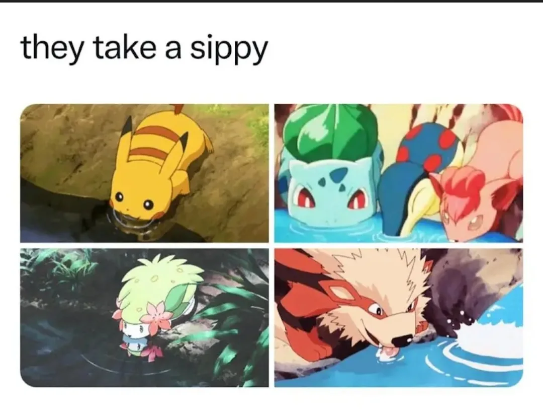 Four panels show Pokémon characters drinking water from a puddle or stream: Pikachu, Bulbasaur, Pichu, and a fox-like…