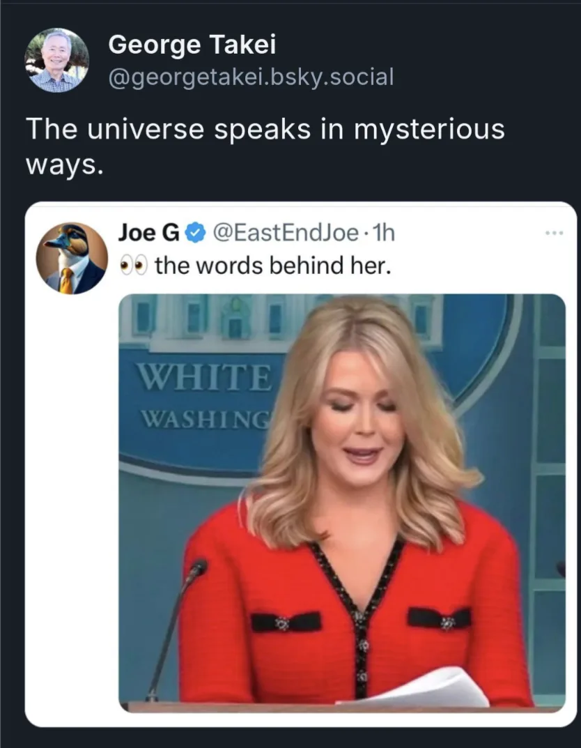A screenshot of a tweet by Joe G (@EastEndJoe) showing a woman in a red jacket speaking at a podium with 'WHITE WASHING'…