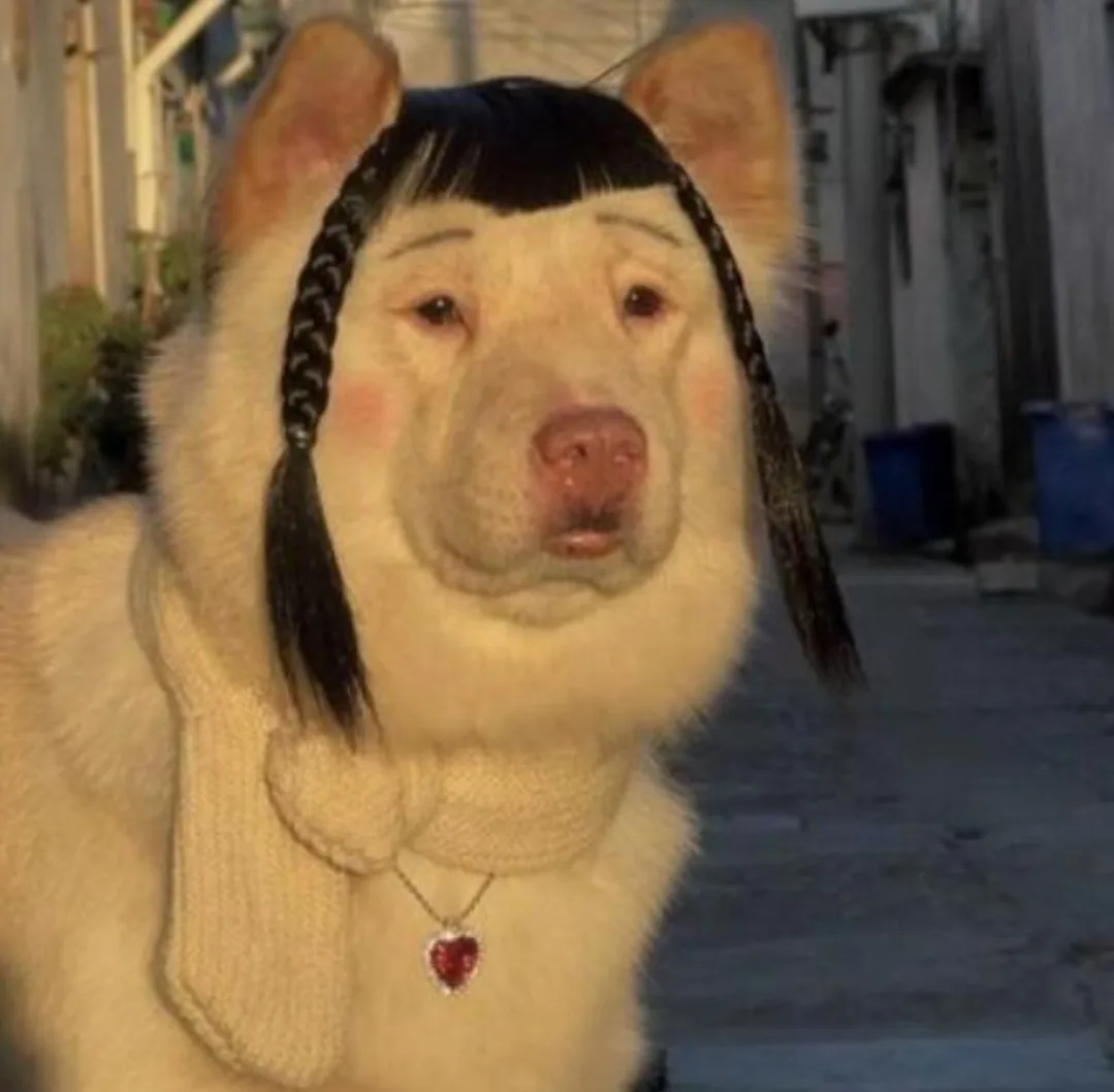 A white dog with a digitally edited human-like face, wearing a black bob wig with braids, a cream-colored knitted scarf, and…
