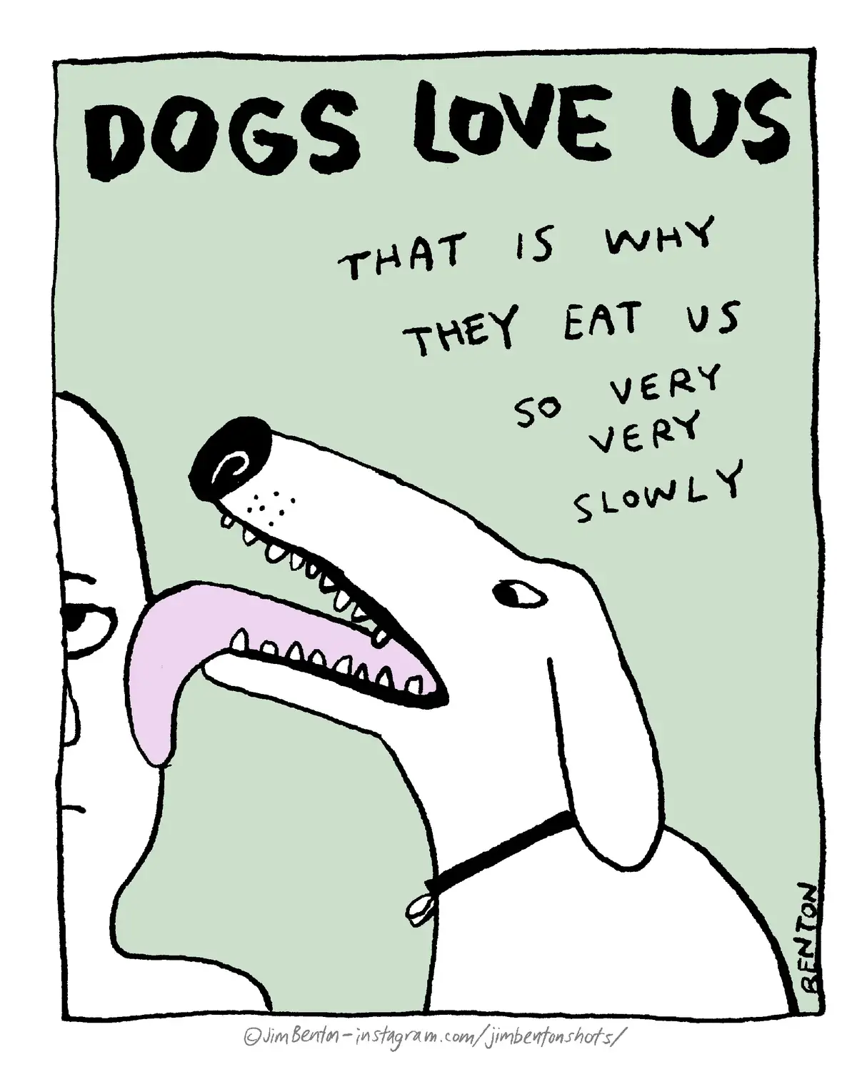 Adorable Canines: A Celebration of Dogs