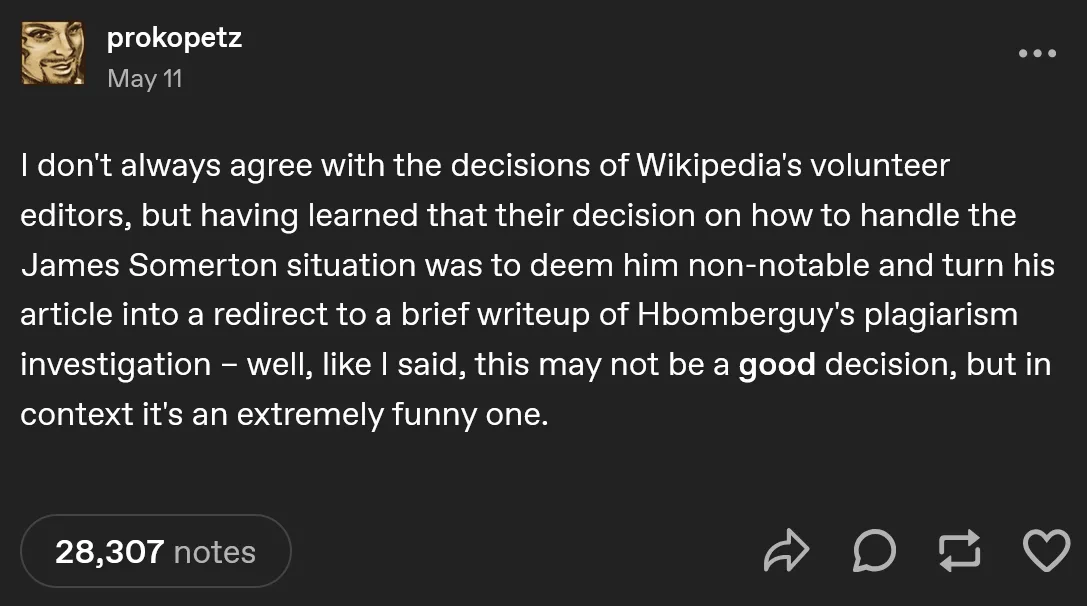 Wikipedia's Take on YouTuber James Somerton's Plagiarism Scandal