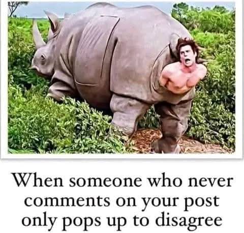 A large rhinoceros is shown walking through green bushes, with a shirtless, muscular man with wild hair visibly emerging…