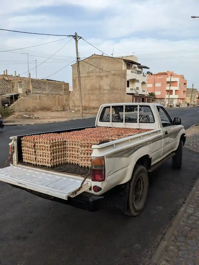 A white pickup truck is parked on a street with its tailgate down, filled to the brim with cardboard egg cartons containing…