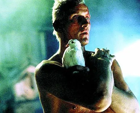 A shirtless man with a muscular build and intense expression holds a white dove in his arms. The image is from the movie…