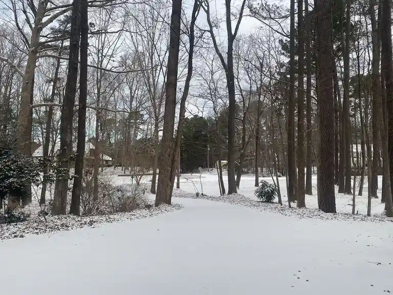 A snowy path winds through a forest of bare deciduous trees and some evergreens, with houses visible in the distance under…