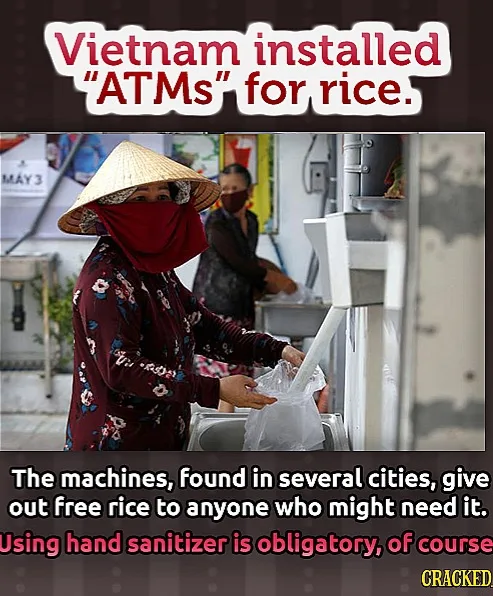 The Rice and the Machine Dump: A Culinary Adventure