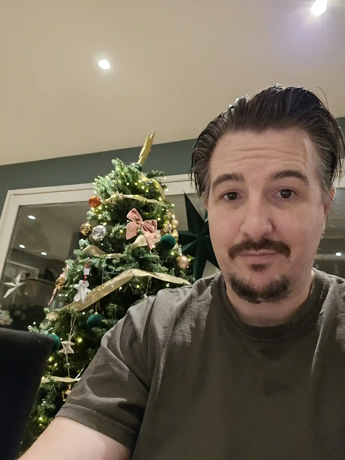 A man with dark hair and a goatee stares directly at the camera with a deadpan expression, wearing a plain olive t-shirt…