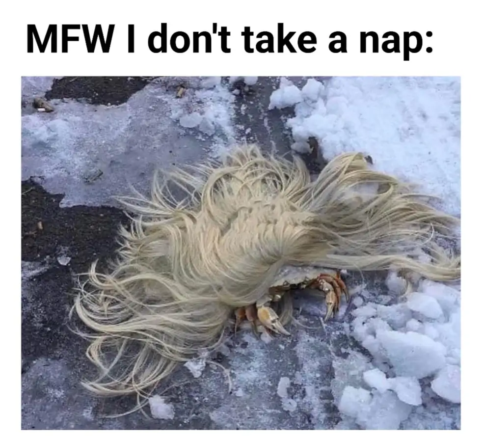A crab with a long, blonde wig lying motionless on icy ground, overlaid with the text 'MFW I don't take a nap:' to…