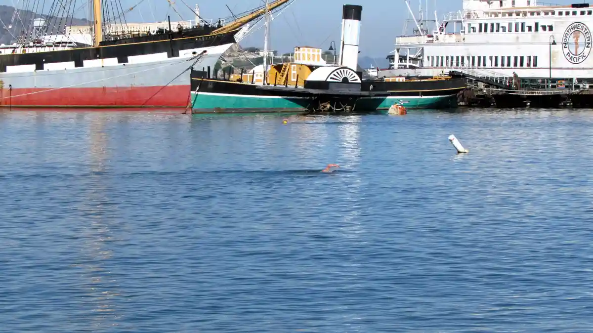 A person is swimming in a harbor with large historic ships docked nearby, including a steamboat and a tall ship. The water…