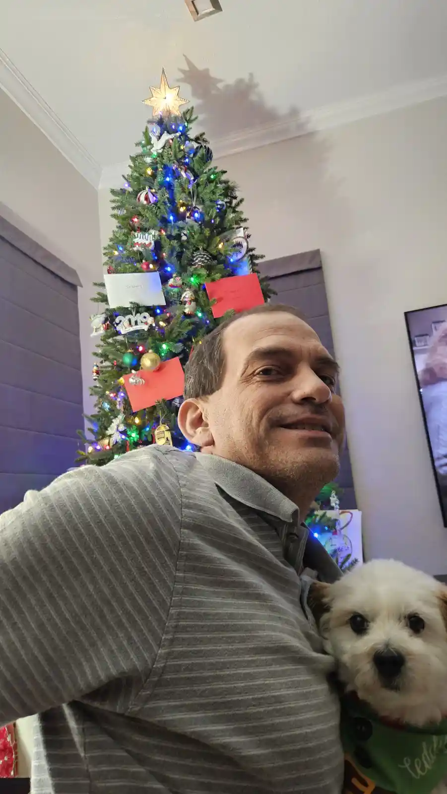 A man in a striped shirt takes a selfie holding a small white dog wearing a green bandana, with a decorated Christmas tree…