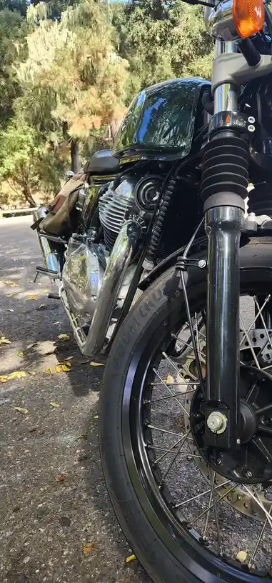 A close-up photo of a shiny black motorcycle parked on a leaf-strewn asphalt road, with trees and hanging moss in the…