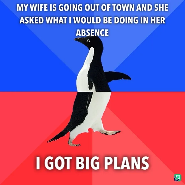A penguin stands centered against a blue and red background, split diagonally. White text at the top reads 'MY WIFE IS GOING…