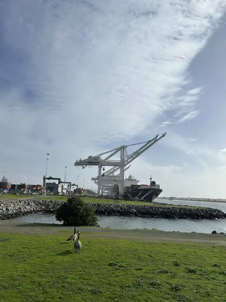 Two geese stand on a grassy area near water, with a large port crane and a container ship visible in the background under a…