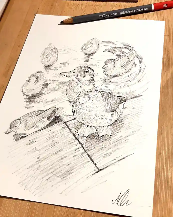 A pencil sketch on paper shows a detailed drawing of a duck standing on a wooden surface, with several other duck-like…