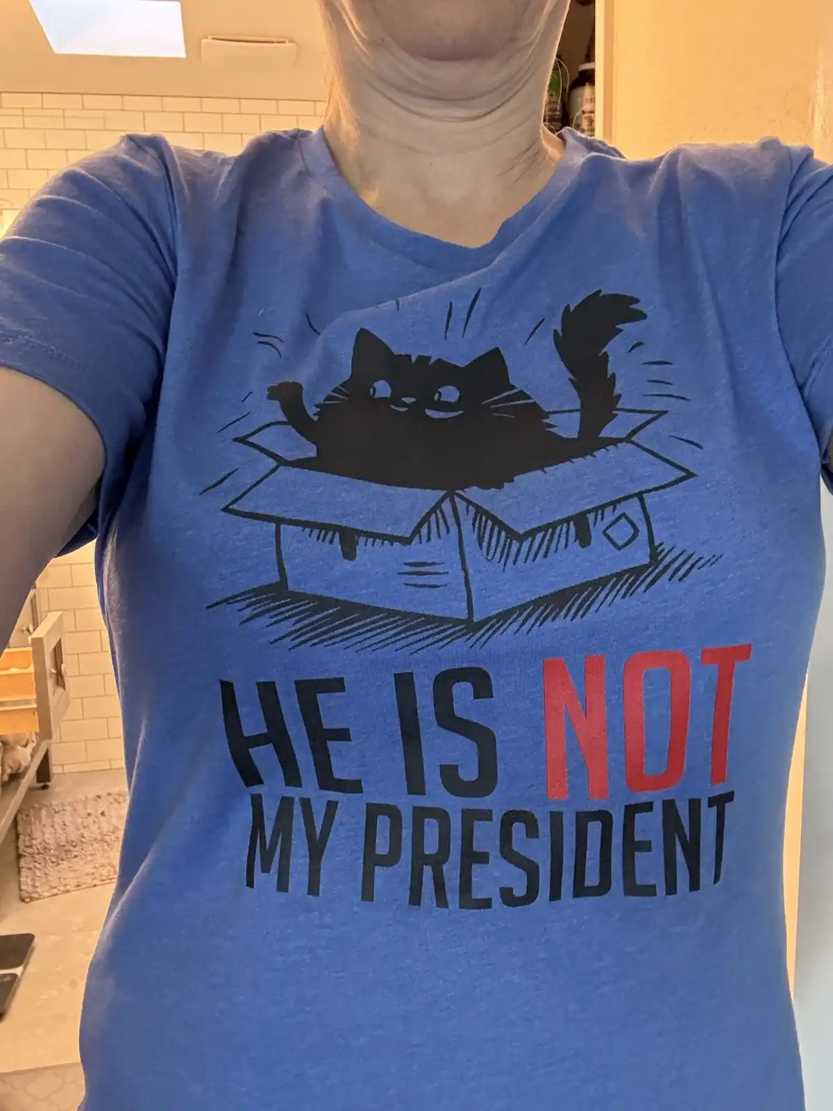 A person wearing a blue t-shirt with a black cartoon cat bursting out of a cardboard box, with the text 'HE IS NOT MY…