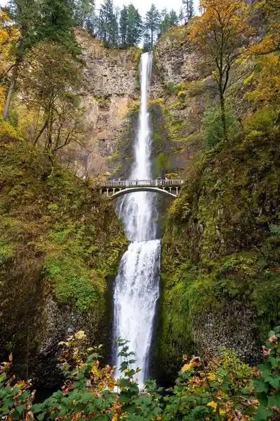 A scenic photo of Multnomah Falls in Oregon, showing a tall waterfall cascading down a mossy cliff with a pedestrian bridge…