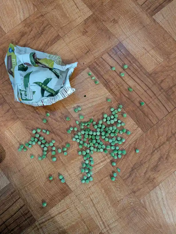 Oops! I was cooking dinner and made a huge mess on the floor.
