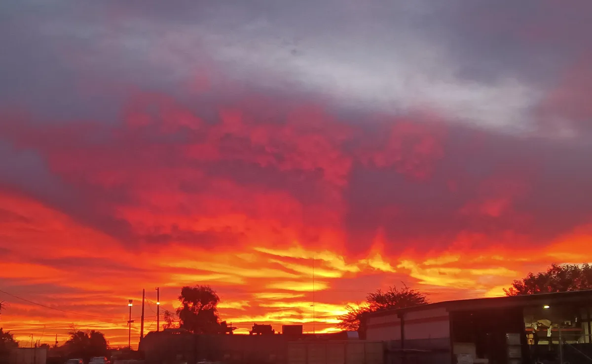 Not L.A., just a beautiful Phoenix dawn—my heart goes out to the wildlife affected.