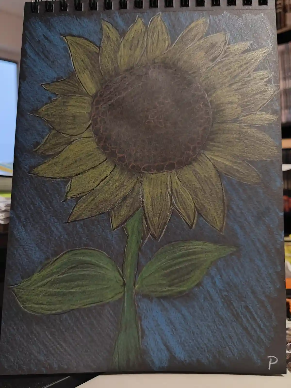 The Beauty of Sunflowers