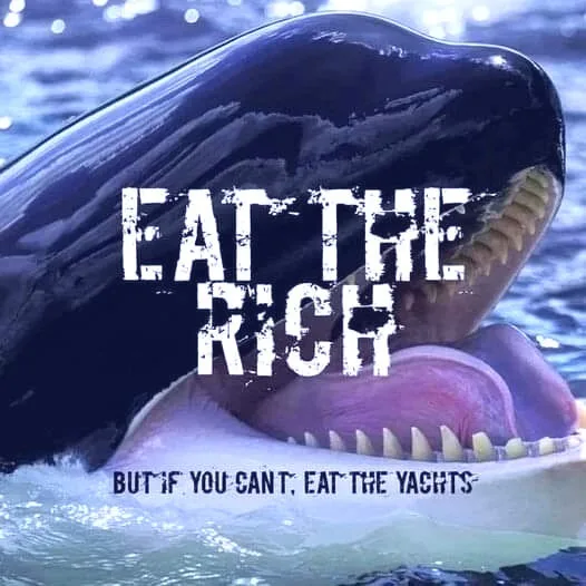 A close-up image of a large orca whale with its mouth open, revealing sharp teeth and pink gums, emerging from blue water…