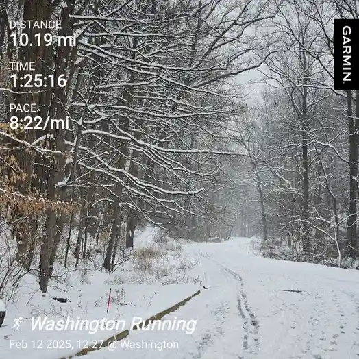 Join me for the daily run—let's hit the pavement!